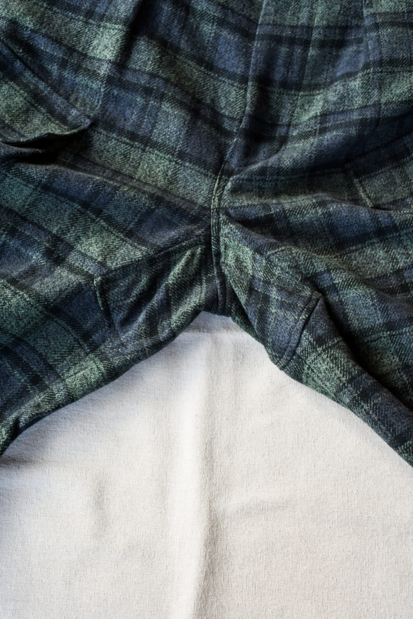 HOPPER’S BRUNCH Flannel Cargo Pants Green Check